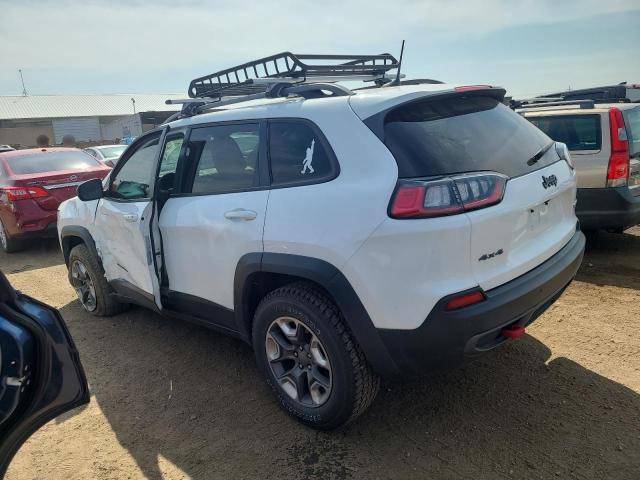 1C4PJMBNXKD489434 - 2019 JEEP CHEROKEE TRAILHAWK Ağ foto 2