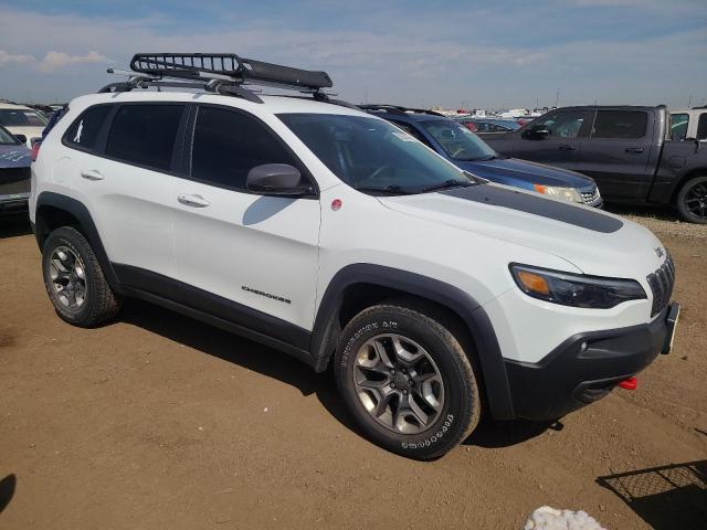 1C4PJMBNXKD489434 - 2019 JEEP CHEROKEE TRAILHAWK Ağ foto 4