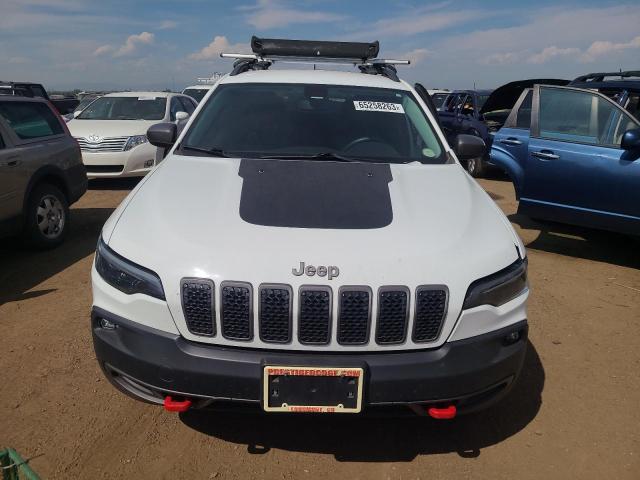1C4PJMBNXKD489434 - 2019 JEEP CHEROKEE TRAILHAWK Ağ foto 5