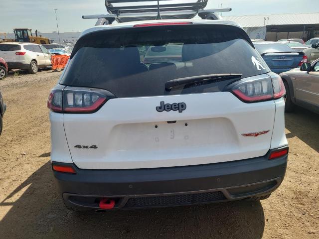 1C4PJMBNXKD489434 - 2019 JEEP CHEROKEE TRAILHAWK Ağ foto 6