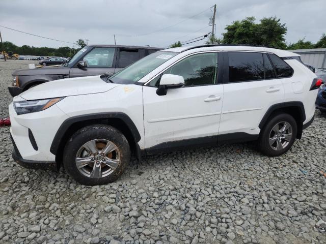 2025 TOYOTA RAV4 XLE, 