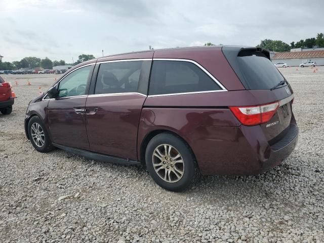 5FNRL5H49DB030169 - 2013 HONDA ODYSSEY EX Bordeaux photo 2