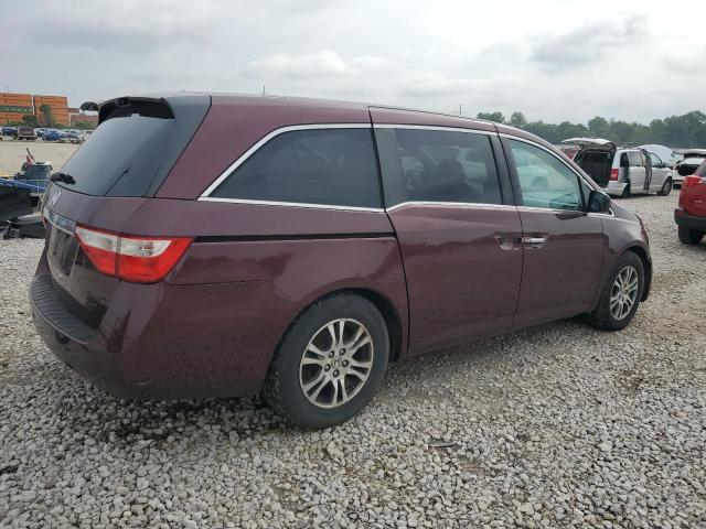 5FNRL5H49DB030169 - 2013 HONDA ODYSSEY EX Bordeaux photo 3
