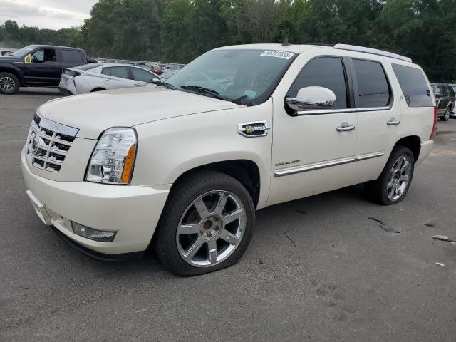 1GYS3FEJ9BR260488 - 2011 CADILLAC ESCALADE PLATINUM HYBRID CREAM photo 1