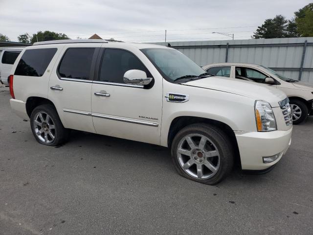 1GYS3FEJ9BR260488 - 2011 CADILLAC ESCALADE PLATINUM HYBRID CREAM photo 4