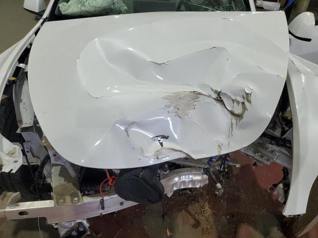 7SAYGDEE7PF610311 - 2023 TESLA MODEL Y 白色 照片 11