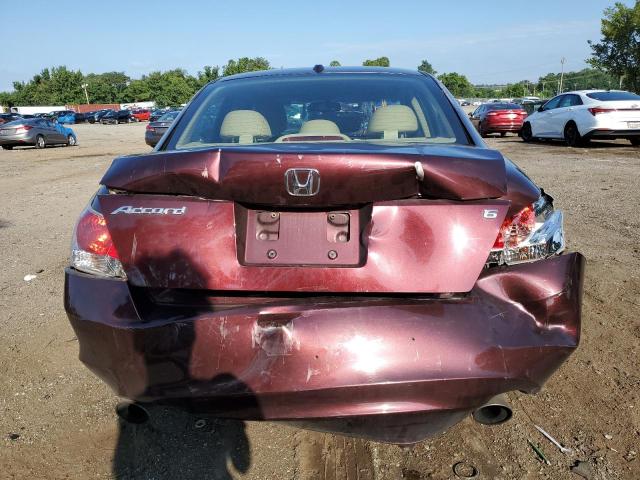 5KBCP3F80AB006912 - 2010 HONDA ACCORD EXL BURGUNDY photo 6