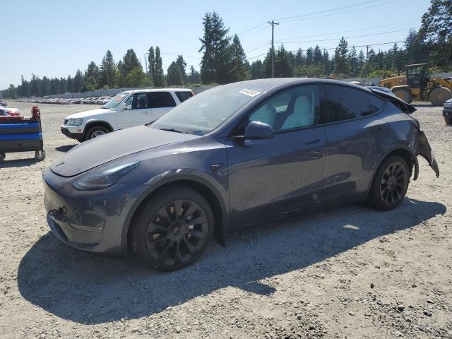 2023 TESLA MODEL Y, 