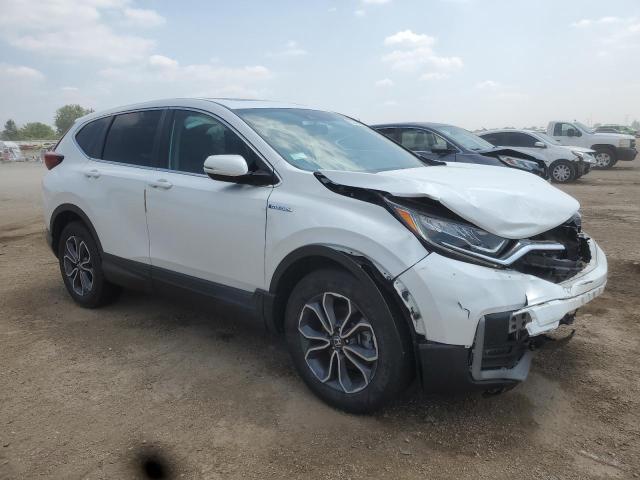 5J6RT6H8XNL016461 - 2022 HONDA CR-V EXL თეთრი ფოტო 4