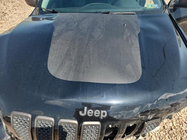 1C4PJMBX5KD347512 - 2019 JEEP CHEROKEE TRAILHAWK BLACK photo 12