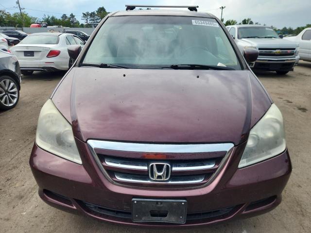 5FNRL38717B425594 - 2007 HONDA ODYSSEY EXL BURGUNDY photo 5