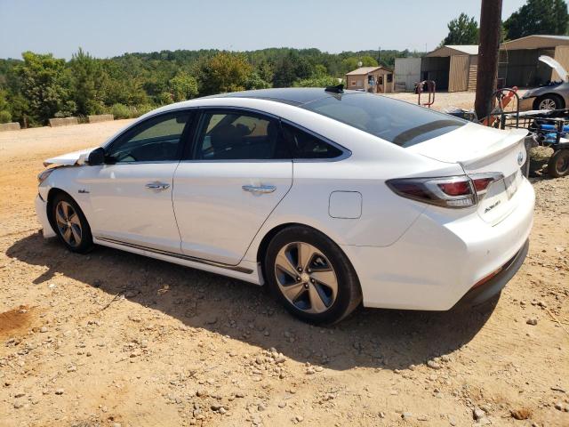 KMHE34L16GA018026 - 2016 HYUNDAI SONATA HYBRID WHITE photo 2