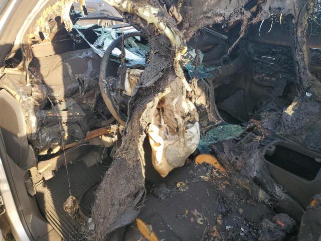 1GYS4HEF8ER167910 - 2014 CADILLAC ESCALADE ESV LUXURY 银色 照片 8