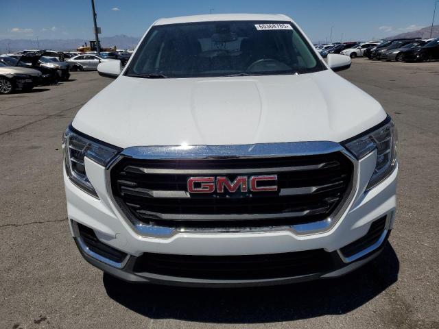 3GKALMEG1RL210877 - 2024 GMC TERRAIN SLE 白色 照片 5