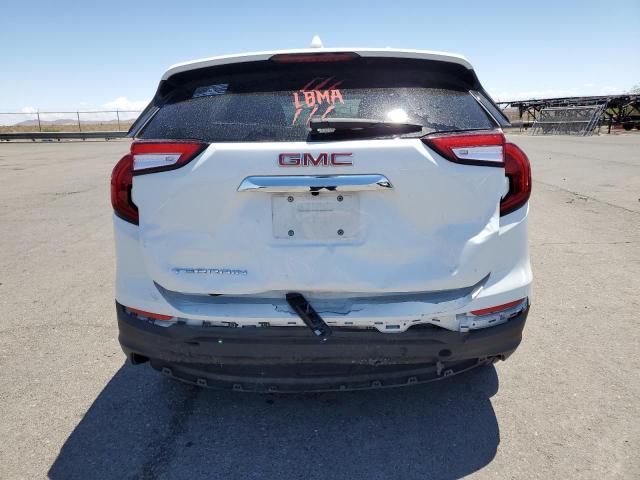 3GKALMEG1RL210877 - 2024 GMC TERRAIN SLE 白色 照片 6