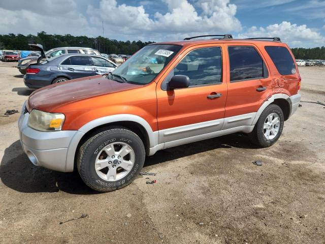 2007 FORD ESCAPE XLT, 