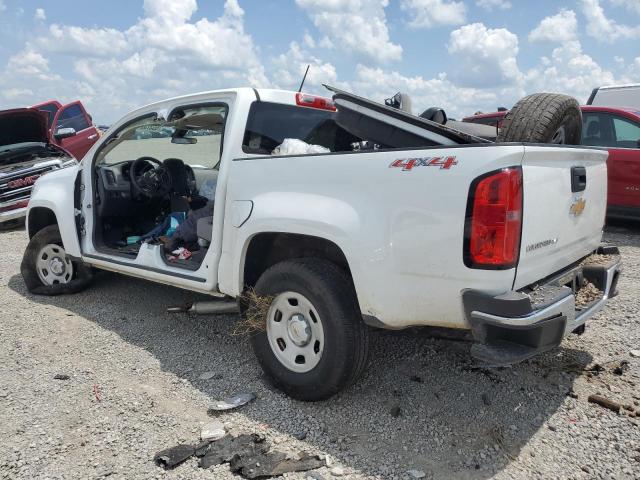 1GCGTBEN0K1134882 - 2019 CHEVROLET COLORADO Ağ foto 2