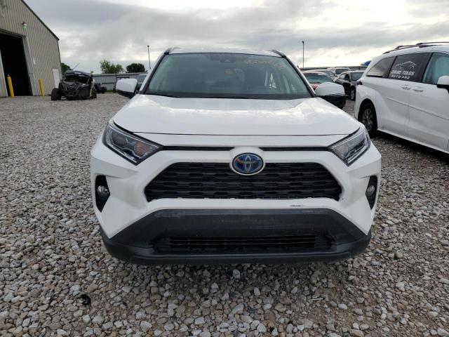 2T3RWRFV2KW029303 - 2019 TOYOTA RAV4 XLE Blanc photo 5