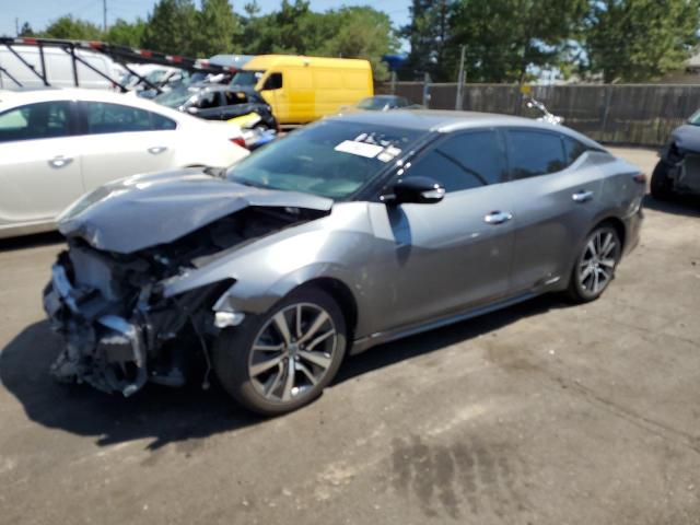 1N4AA6CV0LC365816 - 2020 NISSAN MAXIMA SV GRAY photo 1