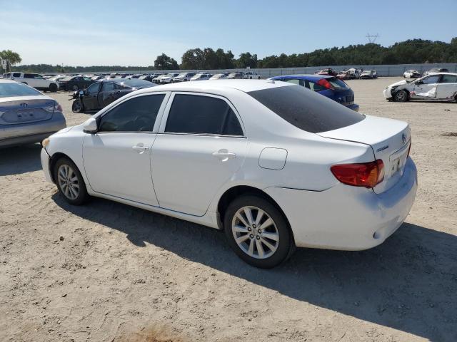 1NXBU4EE5AZ308649 - 2010 TOYOTA COROLLA BASE WHITE photo 2