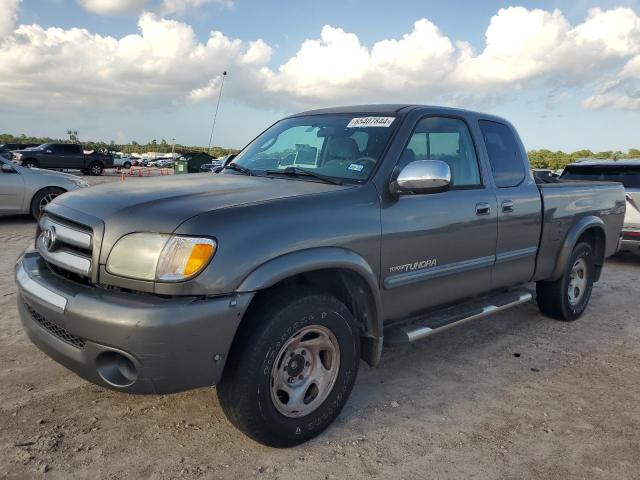 5TBRN34184S447460 - 2004 TOYOTA TUNDRA ACCESS CAB SR5 GRAY photo 1