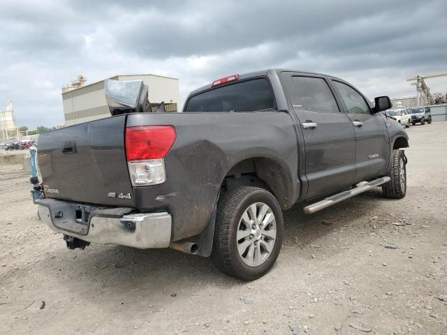 5TFUW5F14AX095880 - 2010 TOYOTA TUNDRA DOUBLE CAB SR5 GRAY photo 3