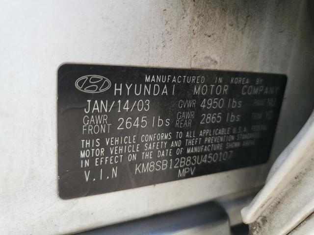 KM8SB12B83U450107 - 2003 HYUNDAI SANTA FE GL WHITE photo 13