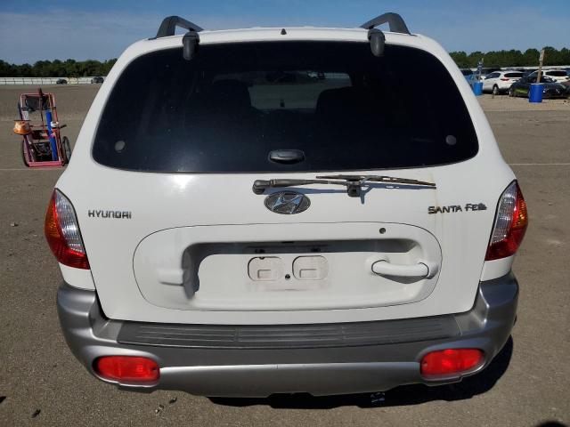 KM8SB12B83U450107 - 2003 HYUNDAI SANTA FE GL WHITE photo 6