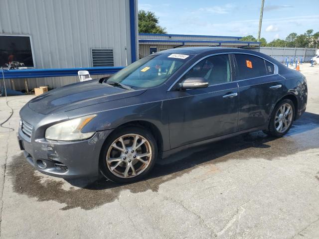 1N4AA5AP9CC870008 - 2012 NISSAN MAXIMA S GRAY photo 1