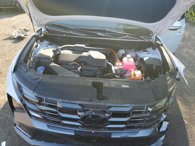 KM8JCDD12SU311166 - 2025 HYUNDAI TUCSON SEL CONVENIENCE 白色 照片 12