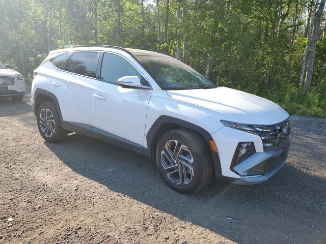 KM8JCDD12SU311166 - 2025 HYUNDAI TUCSON SEL CONVENIENCE 白色 照片 4