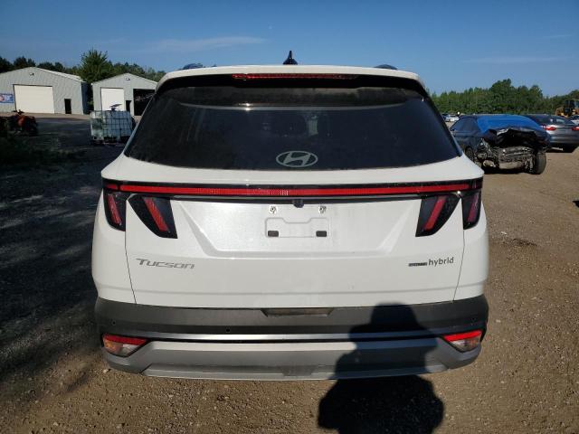 KM8JCDD12SU311166 - 2025 HYUNDAI TUCSON SEL CONVENIENCE 白色 照片 6