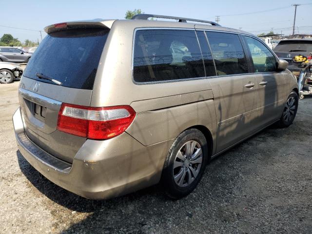 5FNRL38845B011571 - 2005 HONDA ODYSSEY TOURING GOLD photo 3