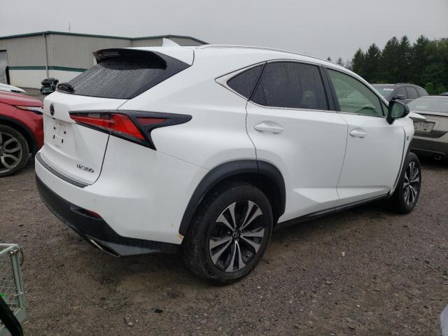 JTJSARDZ7M2250586 - 2021 LEXUS NX 300 BASE Սպիտակ լուսանկար 3