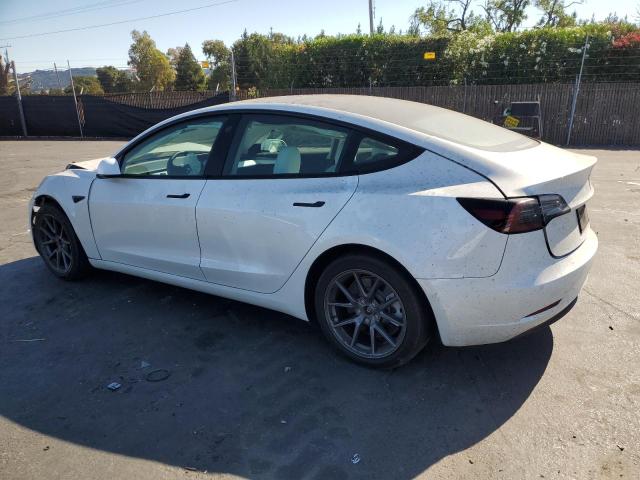 5YJ3E1EA0NF308882 - 2022 TESLA MODEL 3 Ağ foto 2