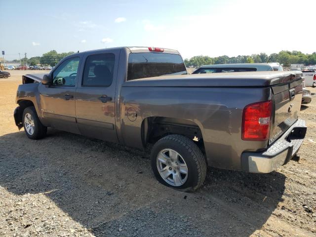 2GCEC13C181259749 - 2008 CHEVROLET SILVERADO C1500 BROWN photo 2