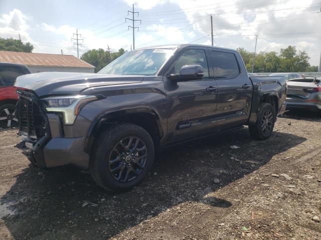 5TFNA5DB4PX103418 - 2023 TOYOTA TUNDRA CREWMAX PLATINUM Grau Foto 1