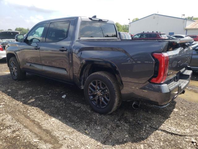 5TFNA5DB4PX103418 - 2023 TOYOTA TUNDRA CREWMAX PLATINUM Grau Foto 2