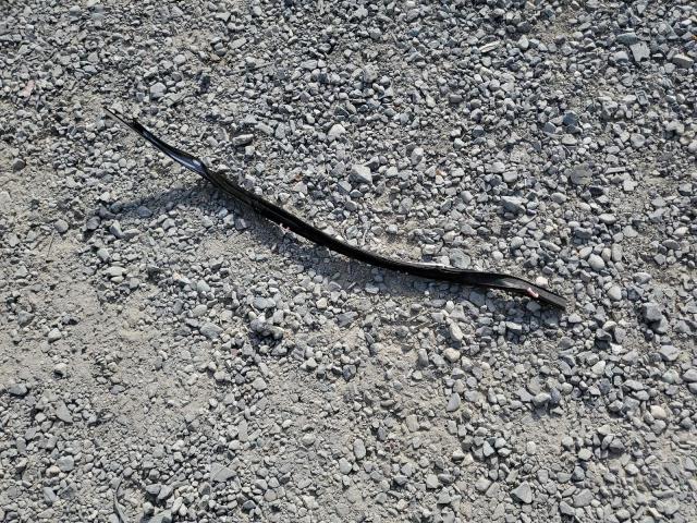 1HGCR2F58EA128622 - 2014 HONDA ACCORD SPORT GRAY photo 13