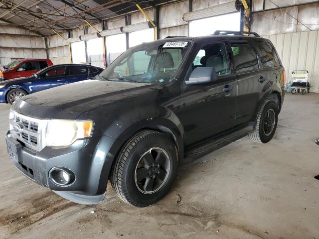 2009 FORD ESCAPE XLT, 