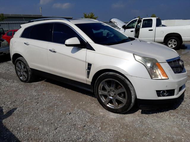 3GYFNBEY9AS548699 - 2010 CADILLAC SRX PERFORMANCE COLLECTION Biały zdjęcie 4