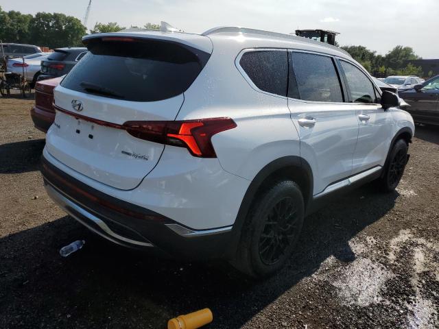 KM8S3DA19MU012172 - 2021 HYUNDAI SANTA FE SEL PREMIUM WHITE photo 3