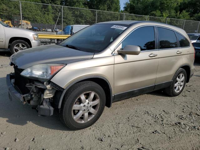 5J6RE487X9L033062 - 2009 HONDA CR-V EXL GOLD photo 1