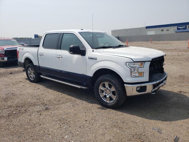 1FTEW1EG8GKD16065 - 2016 FORD F150 SUPERCREW WHITE photo 4