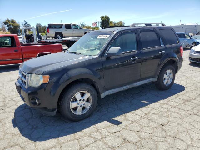 2010 FORD ESCAPE XLT, 