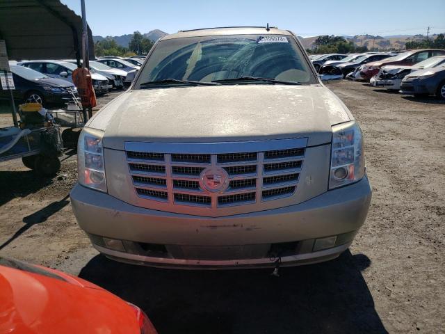 1GYFK43589R129562 - 2009 CADILLAC ESCALADE HYBRID TAN photo 5