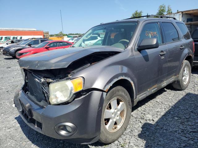 2011 FORD ESCAPE XLT, 
