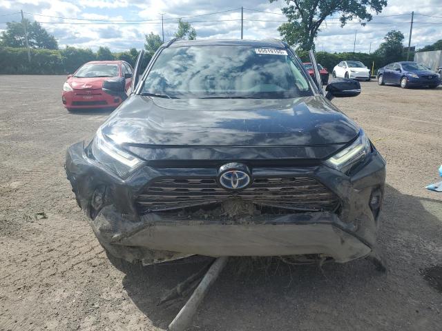 2T3DWRFV1PW161017 - 2023 TOYOTA RAV4 LIMITED 黑色 照片 5