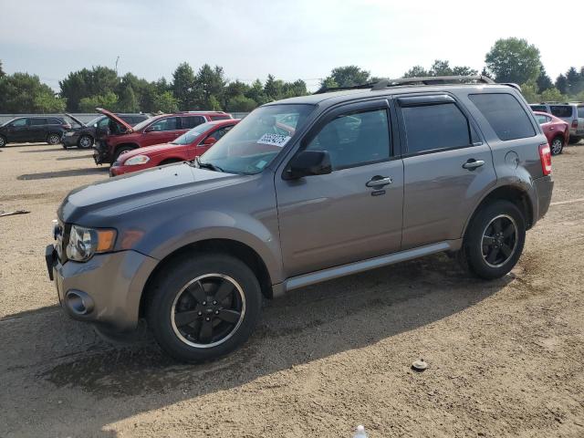 2011 FORD ESCAPE XLT, 