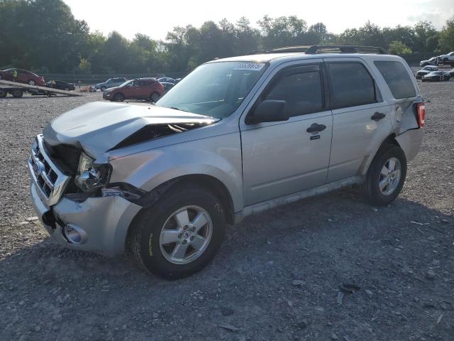 2009 FORD ESCAPE XLT, 